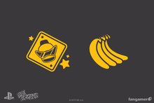 Load image into Gallery viewer, FALSE