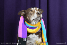 Load image into Gallery viewer, BIT.TRIP RUNNER Scarf