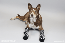 Load image into Gallery viewer, Annoying Dog Socks