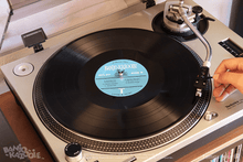 Load image into Gallery viewer, Banjo-Kazooie Vinyl Soundtrack