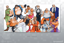 Load image into Gallery viewer, Art of Fighting 2 The Definitive Soundtrack