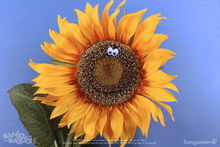 Load image into Gallery viewer, Eyes Pin
