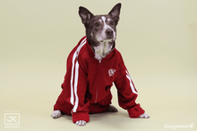 Load image into Gallery viewer, PK Love Track Jacket
