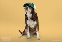 Load image into Gallery viewer, Pelican Town Hat
