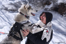 Load image into Gallery viewer, Lesser Dog Scarf
